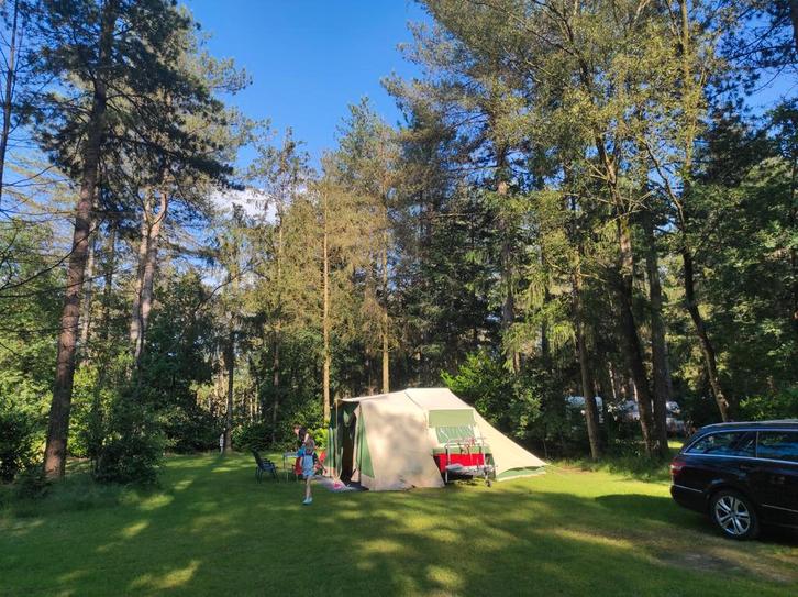 Aart Kok Zambezi original vouwwagen 2006, Caravans en Kamperen, Vouwwagens, Aart Kok, tot en met 5, Overige kleuren, Ophalen