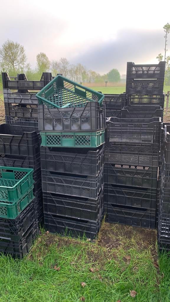 Veenman kratten 40x60x24, Ophalen, 50 tot 75 cm, Minder dan 35 cm, Zo goed als nieuw