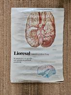 Vintage Anatomische Poster Hersenen - Lioresal Reclame, Antiek en Kunst, Ophalen of Verzenden
