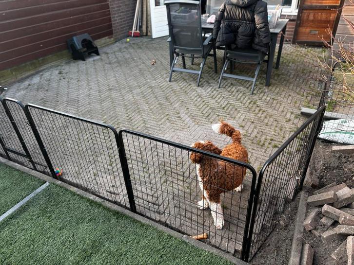 Gratis af te halen: Bestrating klinkers (ca. 22m²), Tuin en Terras, Tegels en Klinkers, Gebruikt, Klinkers, Beton, 10 m² of meer