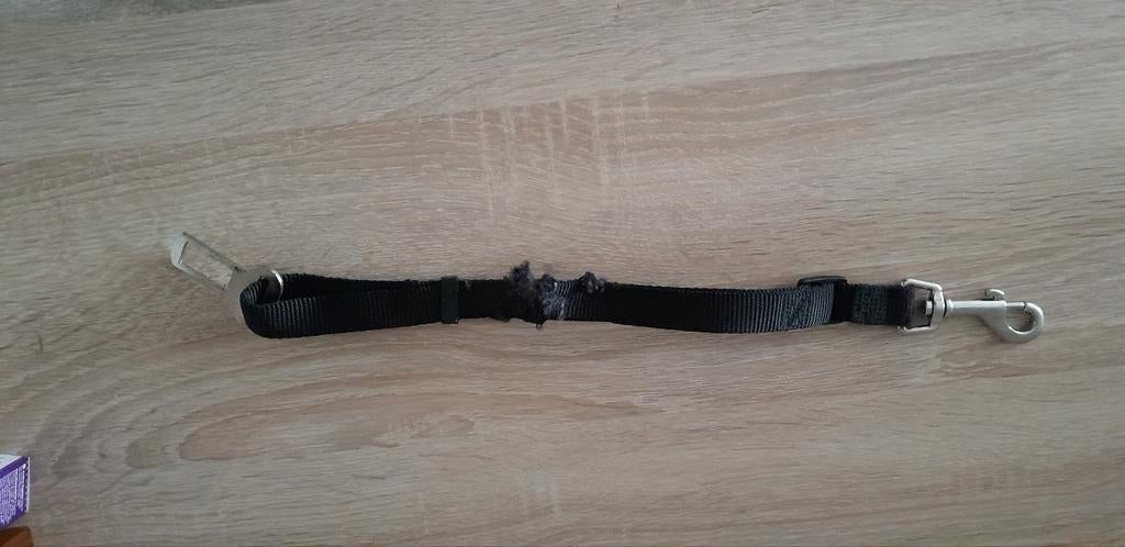 Honden autogordel, Dieren en Toebehoren, Ophalen, Hond