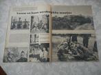 La Courtine. Leeuw en haan werden maatjes. 1959., Ophalen of Verzenden, Landmacht, Nederland, Overige typen