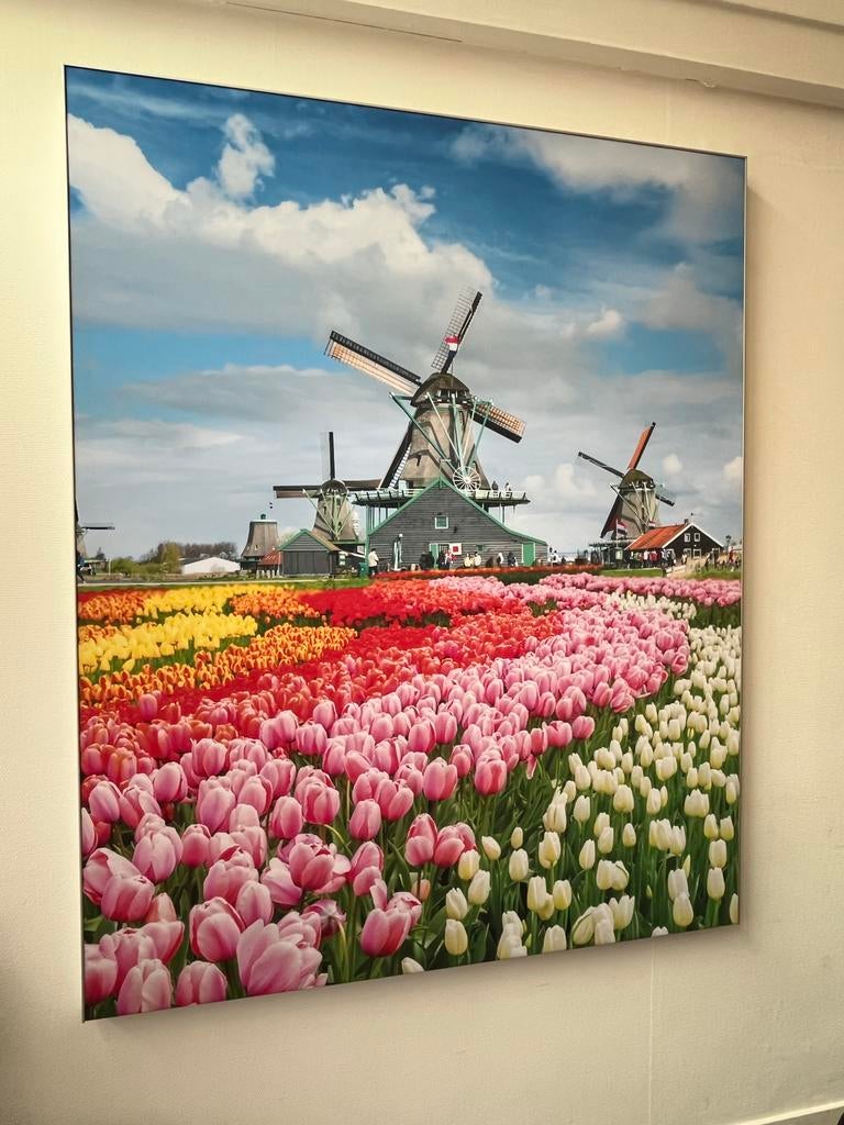 Geluidsdempend doek met kunstprint - Molens en tulpen, Ophalen, 75 tot 100 cm, 75 cm of meer, Print