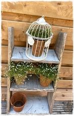 kooitje rozen buiten/binnen plantje of waxinekaarsje. 30 cm., Huis en Inrichting, Clayre, 25 tot 50 cm, Wit, Ophalen of Verzenden