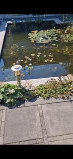 Complete vijver met pomp en stenen, Tuin en Terras, Vijvers, Ophalen, Gebruikt