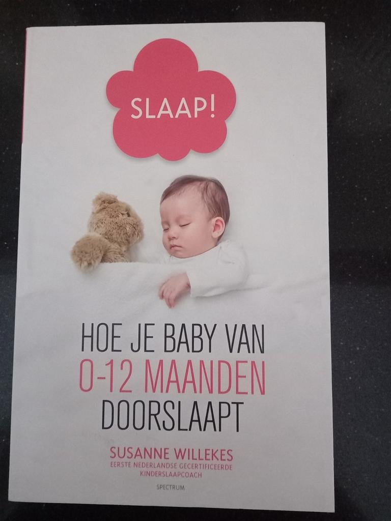 Susanne Willekes - Slaap!, Boeken, Zwangerschap en Opvoeding, Susanne Willekes, Ophalen of Verzenden, Zo goed als nieuw, Opvoeding tot 6 jaar