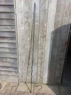 Te koop longeerzweep, Dieren en Toebehoren, Ophalen of Verzenden