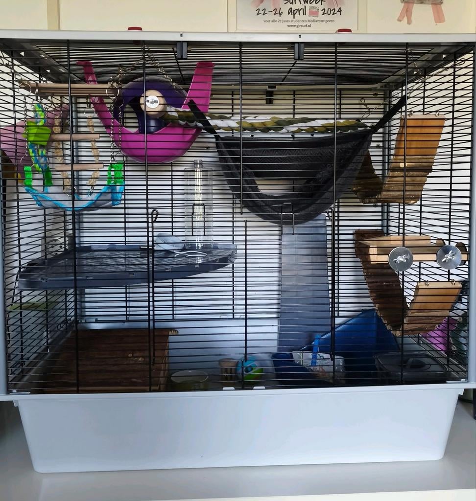 Knaagdieren kooi met veel accessoires, Dieren en Toebehoren, Knaagdieren en Konijnen | Hokken en Kooien, Ophalen, Zo goed als nieuw