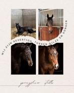 pensionstal aangeboden/Pensionstal vrij – Hulten (NB), Dieren en Toebehoren, Stalling en Weidegang, Stalling, 4 paarden of pony's of meer