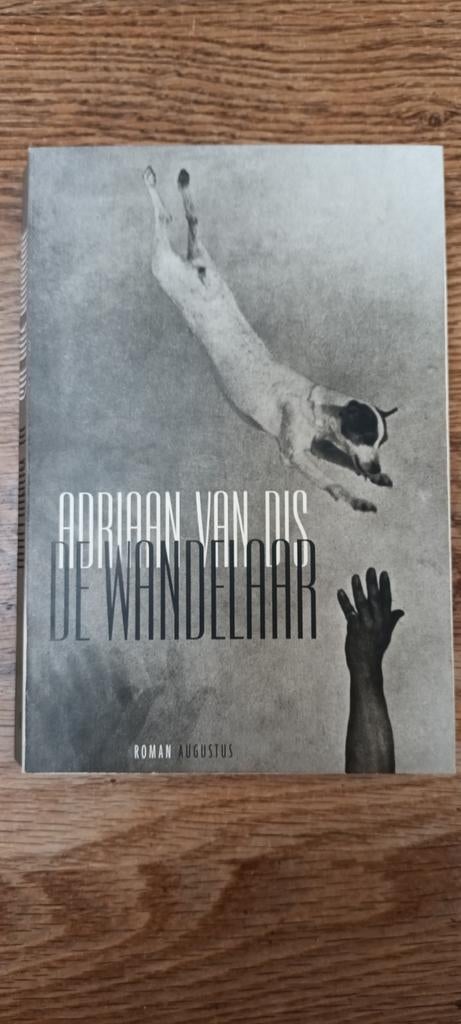 Adriaan van Dis - De wandelaar, Boeken, Literatuur, Zo goed als nieuw, Ophalen of Verzenden