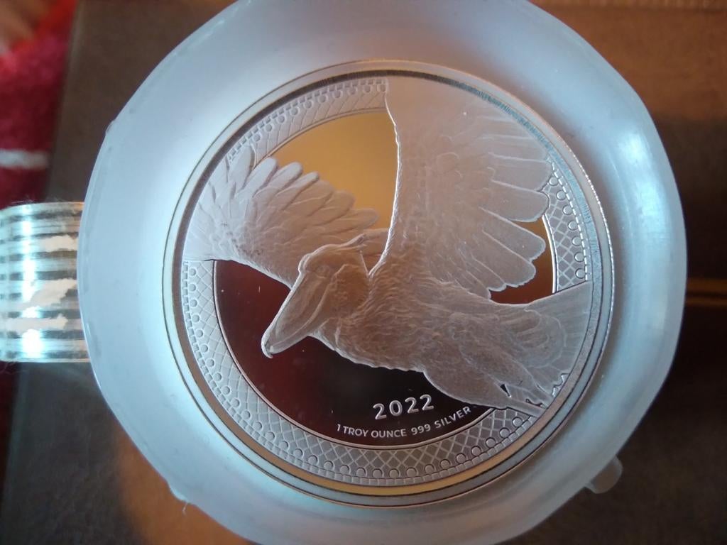 Zilveren munten 1oz Shoebill Congo 2022         !20stuck!, Ophalen of Verzenden, Zilver