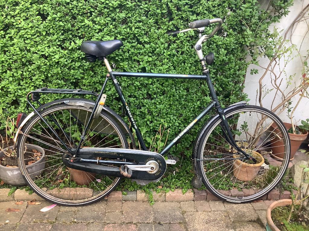 Fiets, groot frame Gazelle Impala,, Fietsen en Brommers, Fietsen | Heren | Herenfietsen, Ophalen, Terugtraprem, Gebruikt, 65 cm of meer