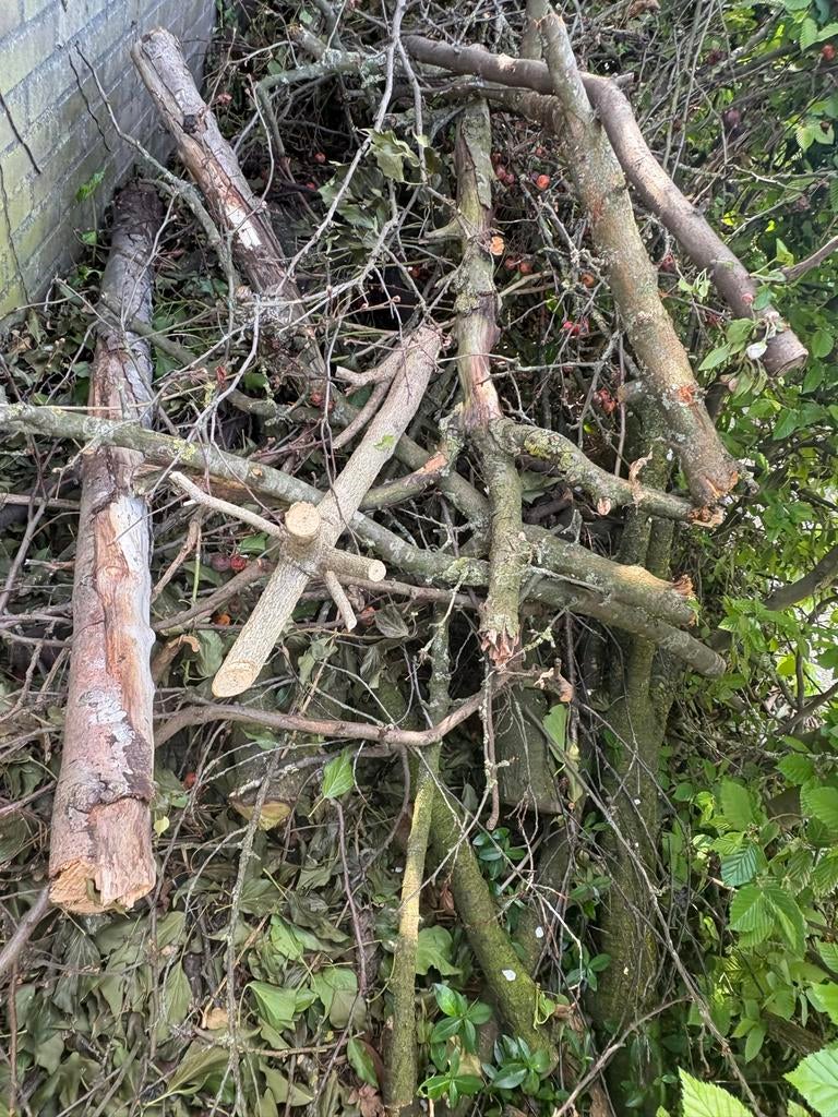 Gratis snoeihout af te halen (vorig en dit jaar), Tuin en Terras, Haardhout, Minder dan 3 m³, Ophalen, Overige houtsoorten, Takken