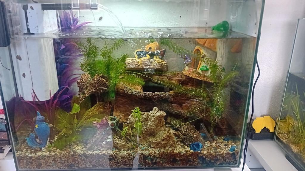Aqarium met vissen te koop, Dieren en Toebehoren, Ophalen, Inclusief toebehoren, Gebruikt