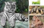 ZooParc Overloon 30% korting per persoon, max. 4 personen, Drie personen of meer, Kortingskaart
