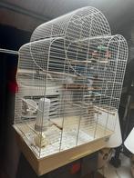 Vogelkooi, Dieren en Toebehoren, Vogels | Hokken en Kooien, Ophalen, Zo goed als nieuw, Metaal, Vogelkooi