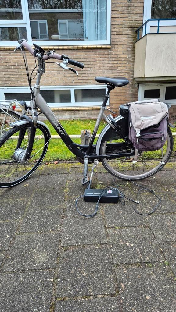 Giant Twist Dubbele Accu - Storing Sync Drive, Fietsen en Brommers, Elektrische fietsen, Ophalen