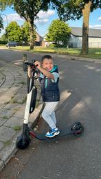 Segway step, Ophalen, Elektrische step (E-scooter)