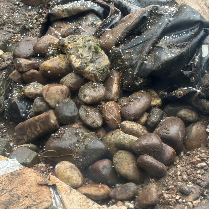 Gratis Maaskeien - Diverse kleuren, vormen en groottes, Tuin en Terras, Grind, Keien en Split, Gebruikt, Kei, Multi, Ophalen of Verzenden