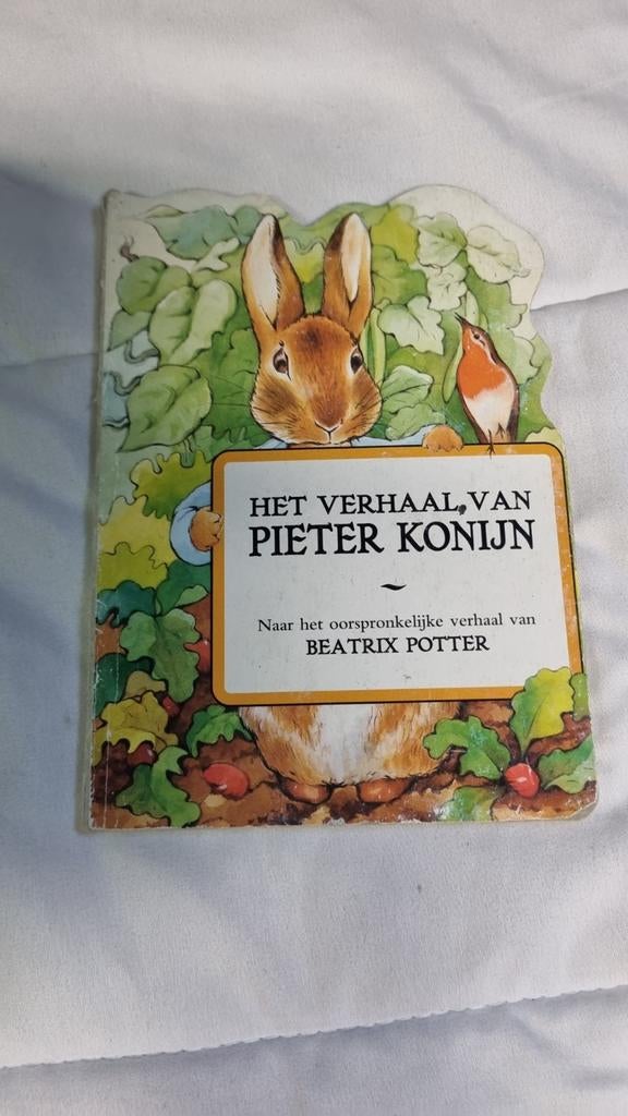 Het Verhaal van Pieter Konijn - Beatrix Potter Kartonboekje, Ophalen of Verzenden, Gelezen, 3 tot 4 jaar