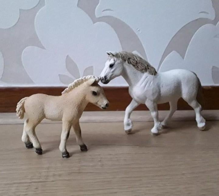 Schleich Welsh merrie 13872 & Fjord veulen 13755, Ophalen of Verzenden, Zo goed als nieuw, Jongen of Meisje