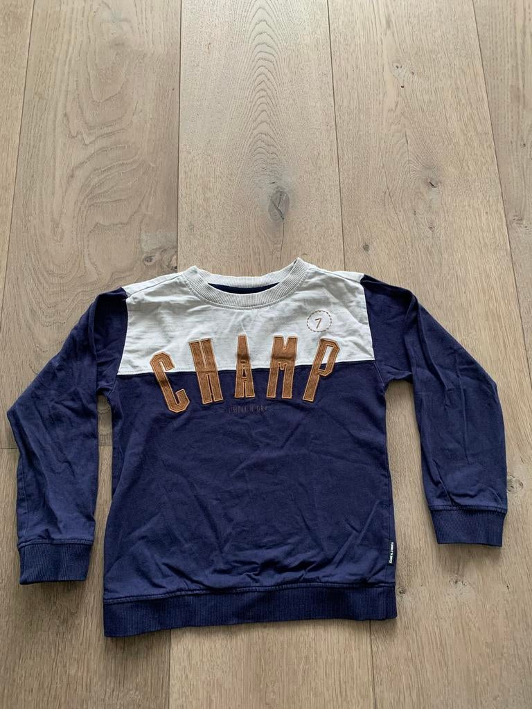 Trui Tumble ‘n dry maat 110., Kinderen en Baby's, Kinderkleding | Maat 110, Ophalen of Verzenden, Gebruikt, Jongen, Trui of Vest