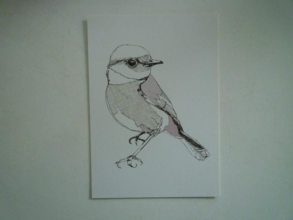 Kunstkaart Maartje van den Noort roodborsttapuit vogel, Ophalen of Verzenden, Voor 1920, Vogel