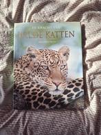 De Kracht van Wilde Katten - Mike & Peggy Briggs, Ophalen of Verzenden, Zo goed als nieuw, Katten, Mike & Peggy Briggs
