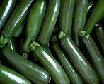 Courgette Black Beauty, Ophalen of Verzenden, Voorjaar, Volle zon, Zaad