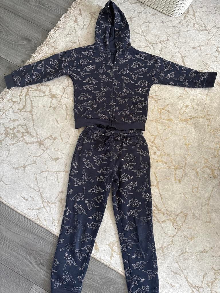 Dinosaurus joggingpak maat 5-6 jaar, Ophalen of Verzenden, Zo goed als nieuw, Maat 110