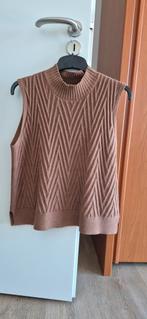 Micha mouwloze trui bruin, Ophalen of Verzenden