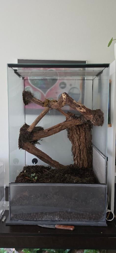 Terrarium 80x50x40, Ophalen, Gebruikt, Terrarium of Paludarium