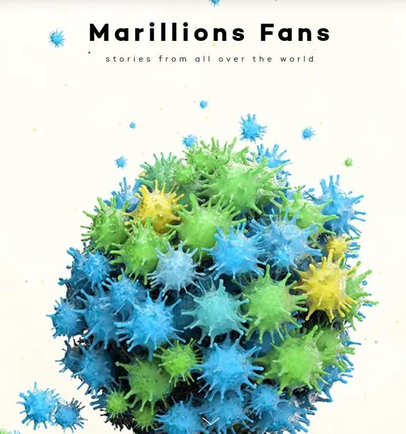 Boek  " MARILLION's FANS ", Ophalen of Verzenden, Zo goed als nieuw, Progressive