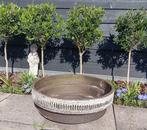 Grote ronde vintage bloempot Jaren 70 Diameter 65 cm, Ophalen, Overige materialen, Gebruikt, Rond