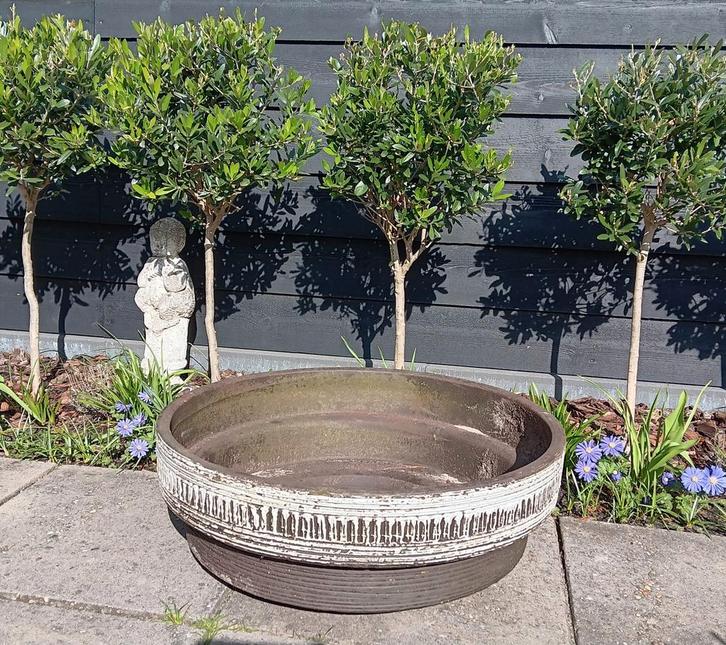 Grote ronde vintage bloempot Jaren 70 Diameter 65 cm, Tuin en Terras, Bloembakken en Plantenbakken, Gebruikt, Overige materialen