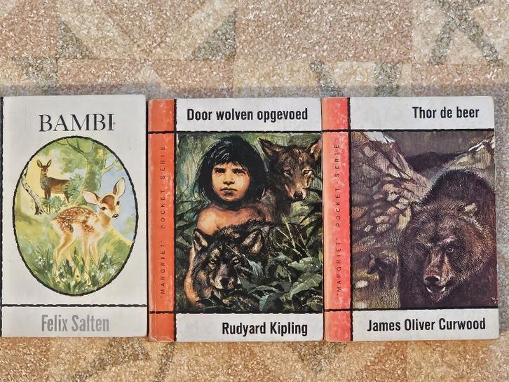 Margriet Pockets, Boeken, Romans, Gelezen, Nederland, Ophalen of Verzenden