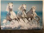 Canvas paardenschilderij - Drie witte paarden in water, Ophalen