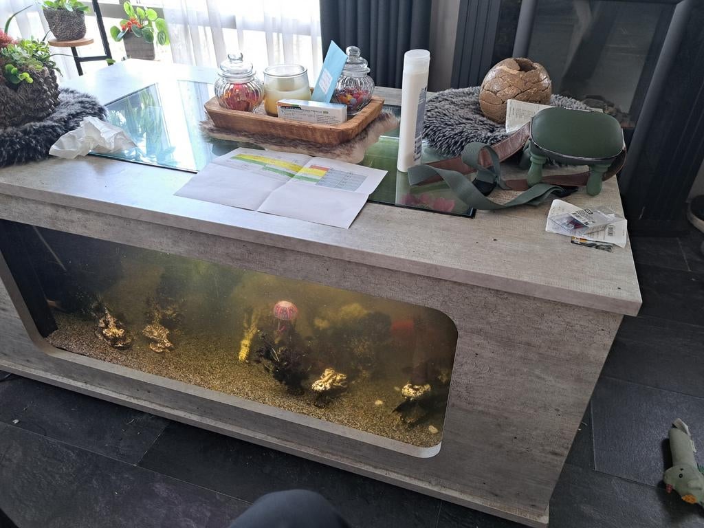 Prachtige salontafel als aquarium., Ophalen, 100 tot 150 cm, 50 tot 100 cm, Minder dan 50 cm