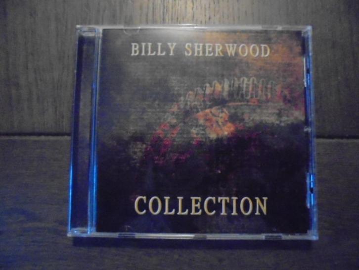 Billy Sherwood, the Collection, Cd's en Dvd's, Cd's | Rock, Zo goed als nieuw, Progressive, Ophalen of Verzenden