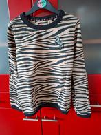 Trui maat 134, Kinderen en Baby's, Kinderkleding | Maat 134, Ophalen of Verzenden, Zo goed als nieuw, Meisje, Trui of Vest