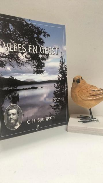 Spurgeon, C.H. ; Vlees en Geest (nr 33 Serie Boekhout)  beschikbaar voor biedingen