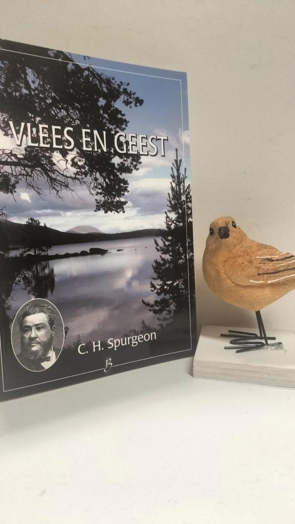 Spurgeon, C.H. ; Vlees en Geest (nr 33 Serie Boekhout), Boeken, Godsdienst en Theologie, Gelezen, Christendom | Protestants, Ophalen of Verzenden