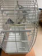 Vogelkooi, Ophalen, Gebruikt, Metaal, Vogelkooi
