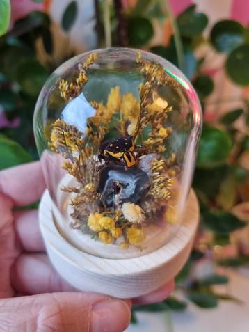 Insect in Stolpje - Agaat & Droogbloemen beschikbaar voor biedingen