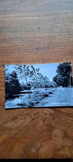 Balkbrug Schansgracht, Ophalen of Verzenden, 1960 tot 1980