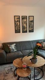 Wanddecoratie + sierkussens jungle design, Ophalen of Verzenden, Gebruikt