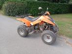 Quad 270cc automaat Dinli met kenteken, Motoren, Quads en Trikes