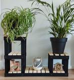 Plantenstandaard €30.-, Ophalen, Zomer, Volle zon