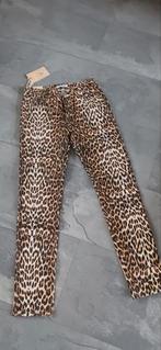 Tka nieuwe broek van nina carter maat 36 taille 36 cm, Zwart, Nieuw, Ophalen of Verzenden, Maat 36 (S)