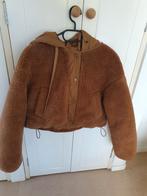 Pull&Bear teddy jasje, kort, bruin, mt S, Ophalen of Verzenden, Zo goed als nieuw, Maat 38/40 (M), Bruin